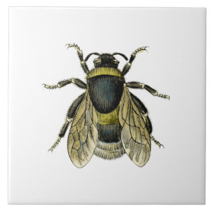 Biantikvitetillustration Kakelplatta
