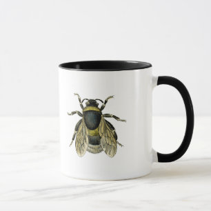 Biantikvitetillustration Mugg