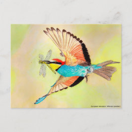 Biätande, färgstark fågel vid flygillustration vykort