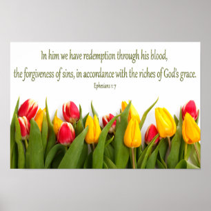 Bibelskript Ephesian 1: 7 Färgfulla tulips Poster