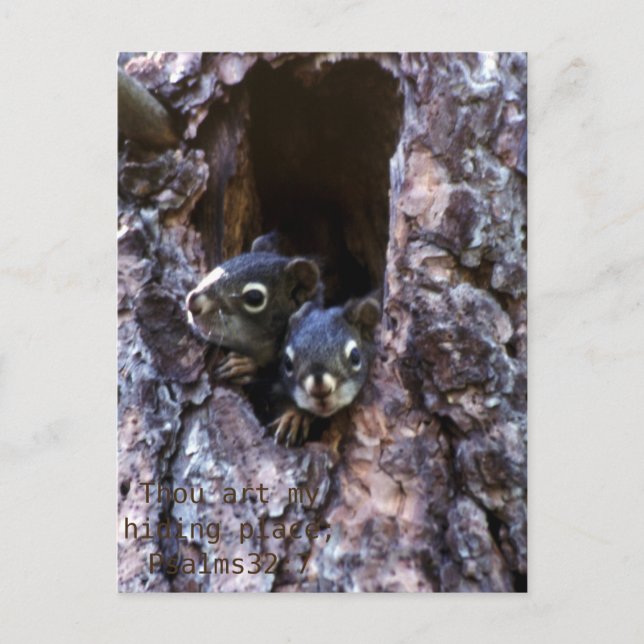 Bibelskript Vykort (Framsida)