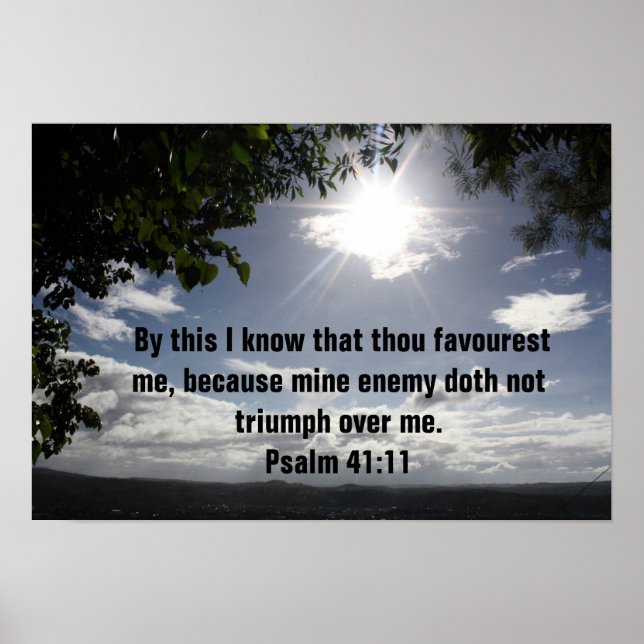 Bibelvern Psalm 41:11 Poster (Framsidan)