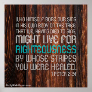 BibelVerseaffisch - 1 Peter 2:24 Poster