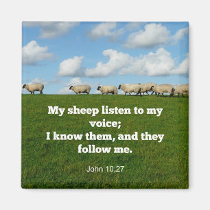 Bibelversen, John 10:27, mina får... Magnet