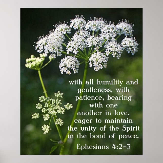 Bibelversen om Kärlek Efesierna 4:2-3 Poster (Framsidan)