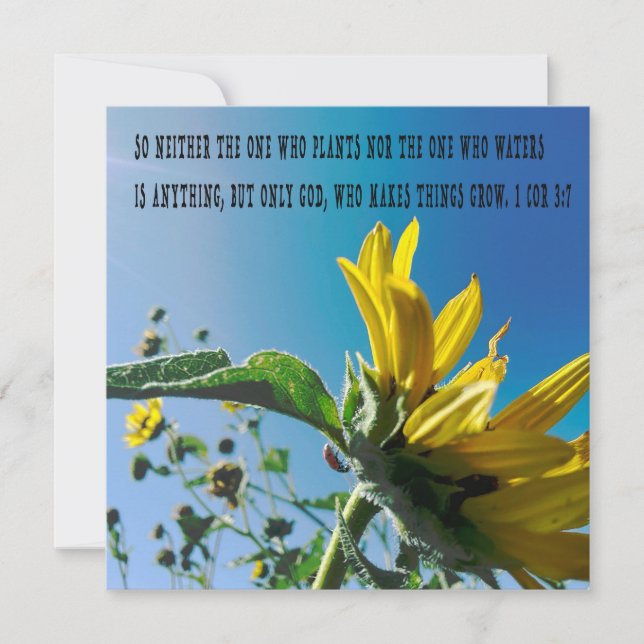 Bibelversen poster, blommorna växer med Gud. (Framsida)