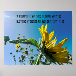 Bibelversen poster, blommorna växer med Gud. Poster