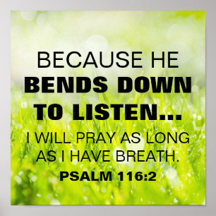Bibelverterad psalm 116:2 poster