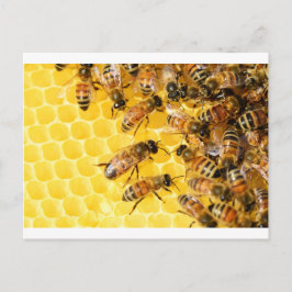 Bibin Hive Honung Comb Sweet Dessert Gult Vykort