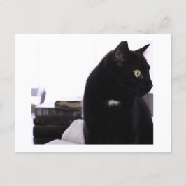 Biblar och svart katt vykortstryck av JH Thornton Vykort