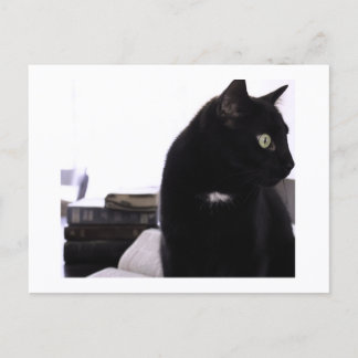 Biblar och svart katt vykortstryck av JH Thornton Vykort