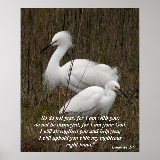 Bible Christian Scripture inspiration Truth Poster (Framsidan)