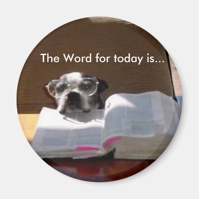 Bible Reading Boston Terrier Magnet (Framsidan)
