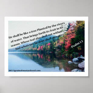 Bible Scripture-böner Poster