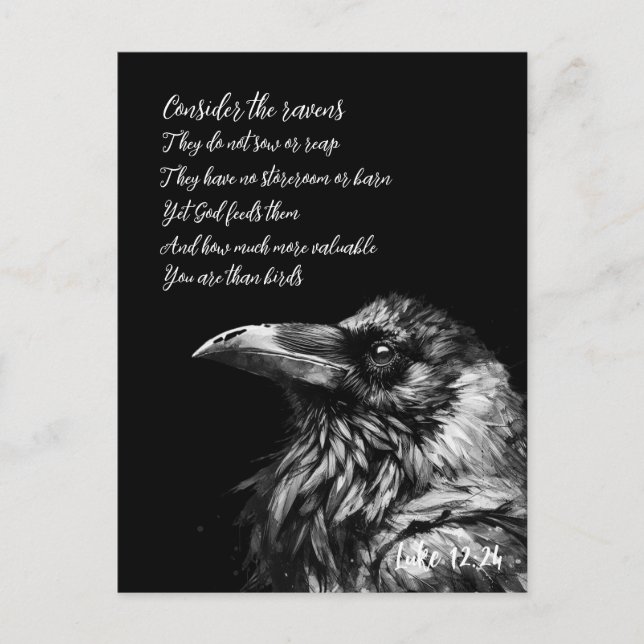 Bible Scripture Luke 12:24 Vykort (Framsida)