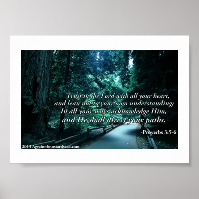 Bible Scripture Prayers Poster (Framsidan)