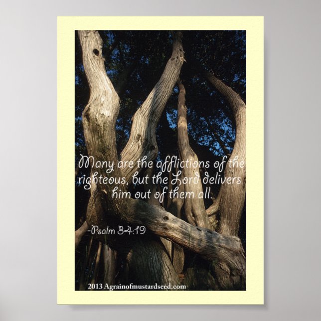 Bible Scripture Prayers Poster (Framsidan)