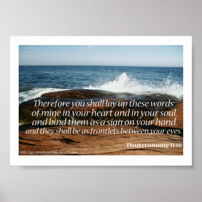 Bible Scripture Prayers Poster (Framsidan)