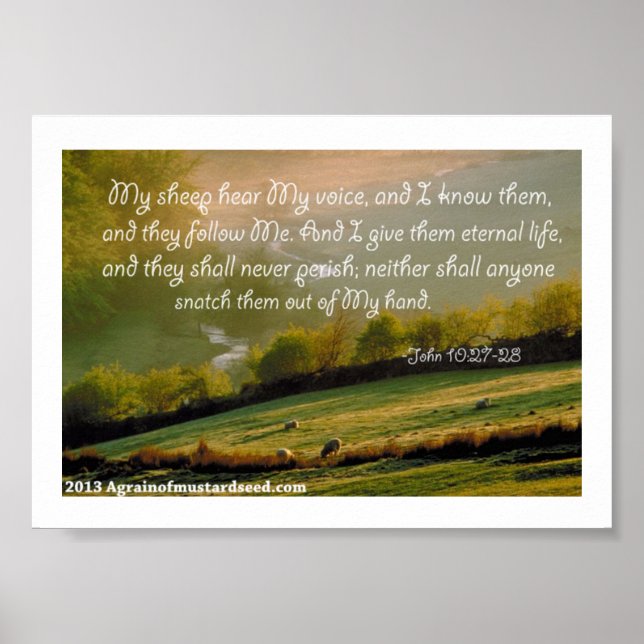 Bible Scripture Prayers Poster (Framsidan)