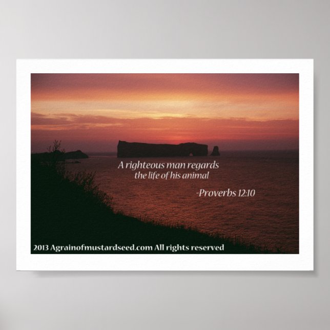 Bible Scripture Prayers Poster (Framsidan)