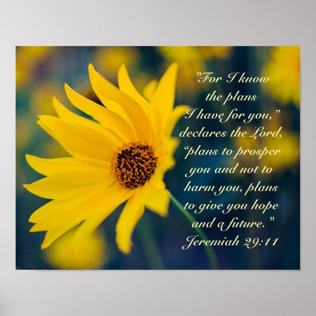 Bible Verse Jeremiah 29:11, Gult Wildblomma Poster (Framsidan)