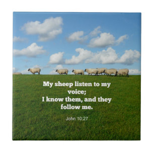 Bible verse, John 10:27, Kakelplatta