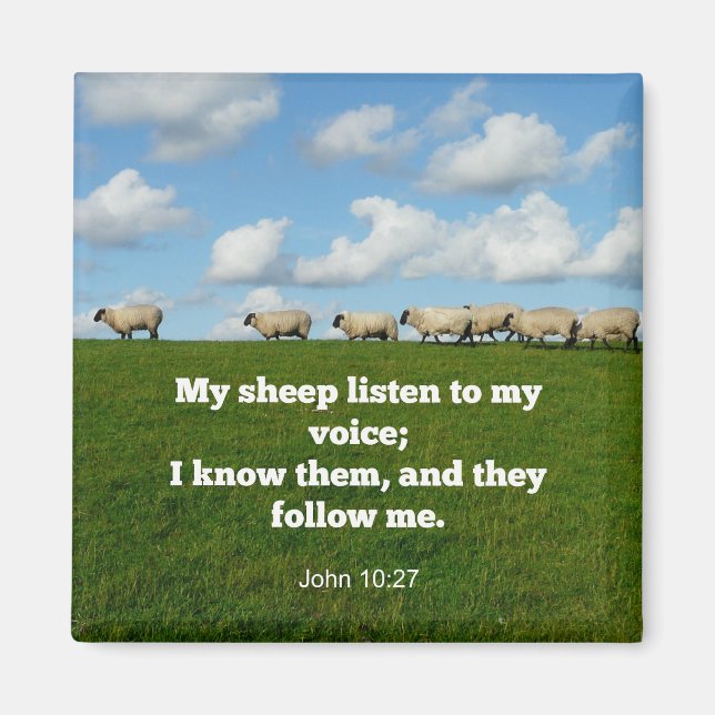 Bible verse, John 10:27, Magnet (Framsidan)