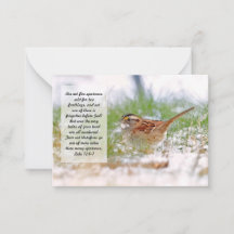 Bible Verse Scripture Card Sparrow KJV