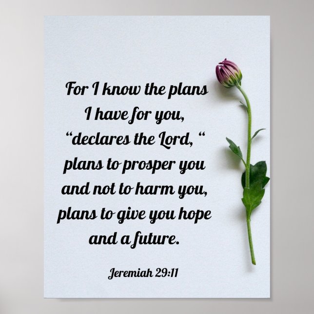 Bible Verse Scripture Jeremiah 29:11 Wall Poster (Framsidan)
