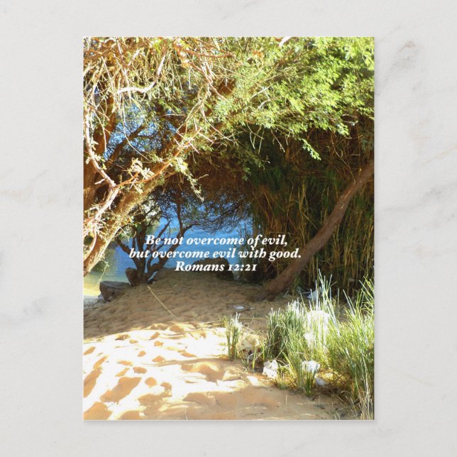 Bible Verses Kärlek Citote Say Romans 12:21 Vykort (Framsida)