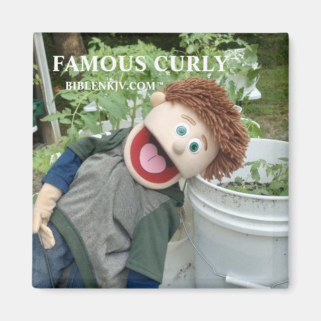 BIBLENKJV.COM™ 🛐 #MAGNET MAGNET (Framsidan)