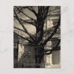 Bibliotek Branford, Ct-vykort Vykort