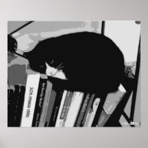 Bibliotek Cat
