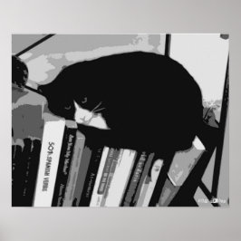 Bibliotek Cat Poster