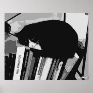 Bibliotek Cat Poster
