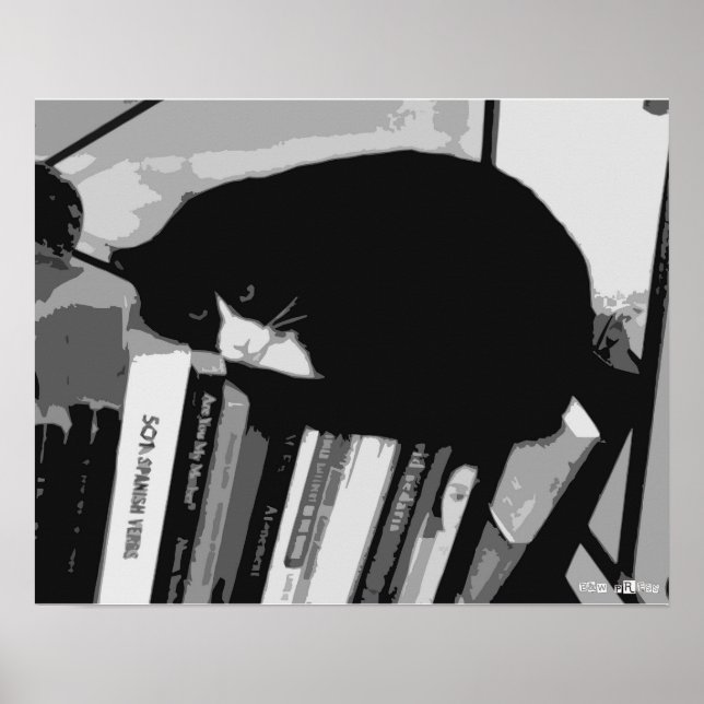 Bibliotek Cat Poster (Framsidan)