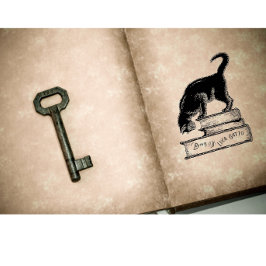 Bibliotek i ägandet av Gatto Cat Bok Bläck Frimärk Stämpel