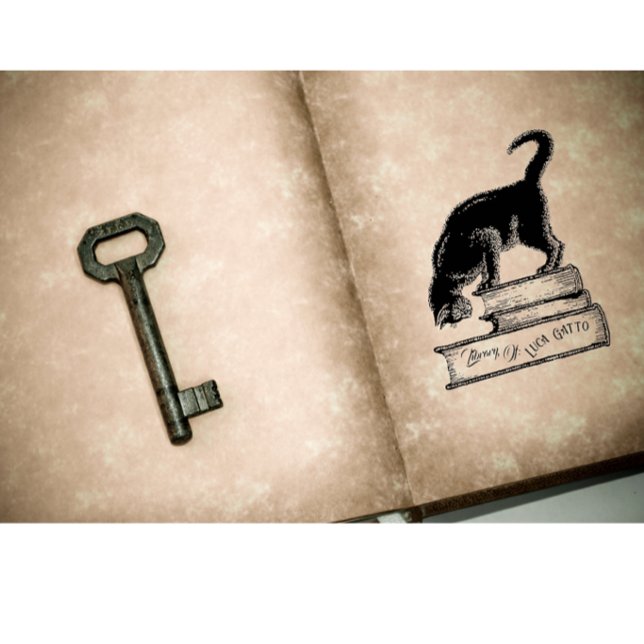 Bibliotek i ägandet av Gatto Cat Bok Bläck Frimärk Stämpel (Skapare uppladdad)