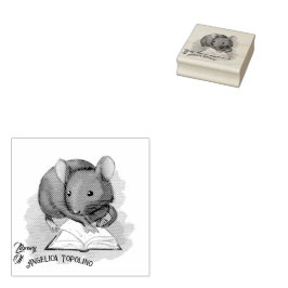 Bibliotek i Topo Bok ägarskap Bläck Frimärke Stämpel