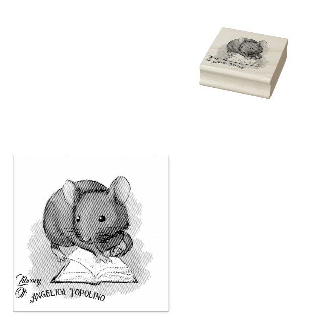 Bibliotek i Topo Bok ägarskap Bläck Frimärke Stämpel (Stämplad)