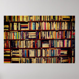 Bibliotek Shelves Poster