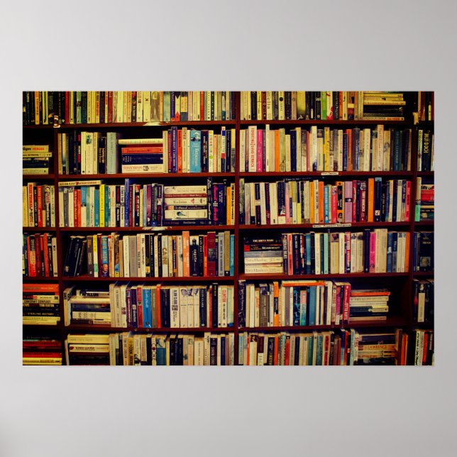 Bibliotek Shelves Poster (Framsidan)