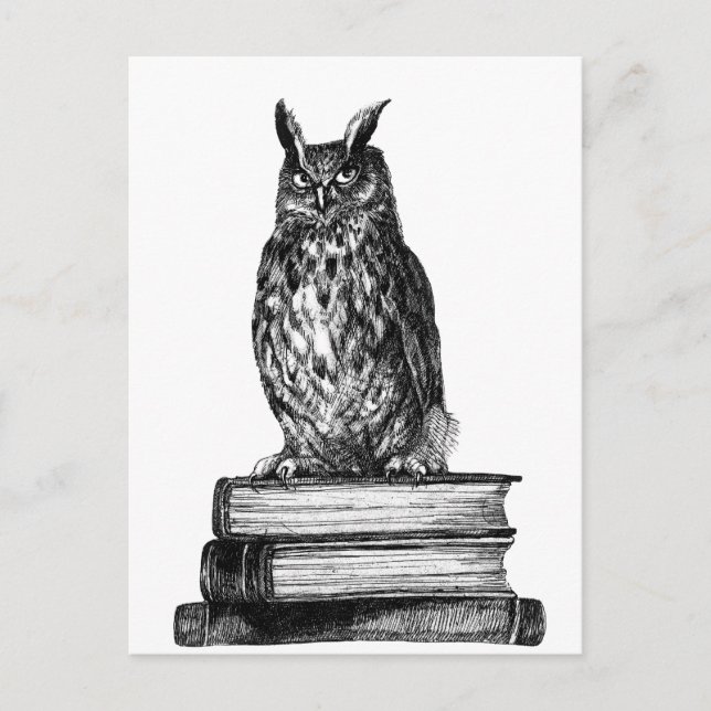 Bibliotek Uggla Vykort (Framsida)