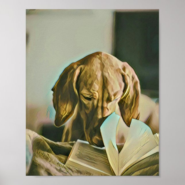 Bibliotekets födelsedagspresent poster (Framsidan)