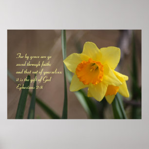 Biblisk Verse för Ephesians 2:8 med gul påsklilj Poster