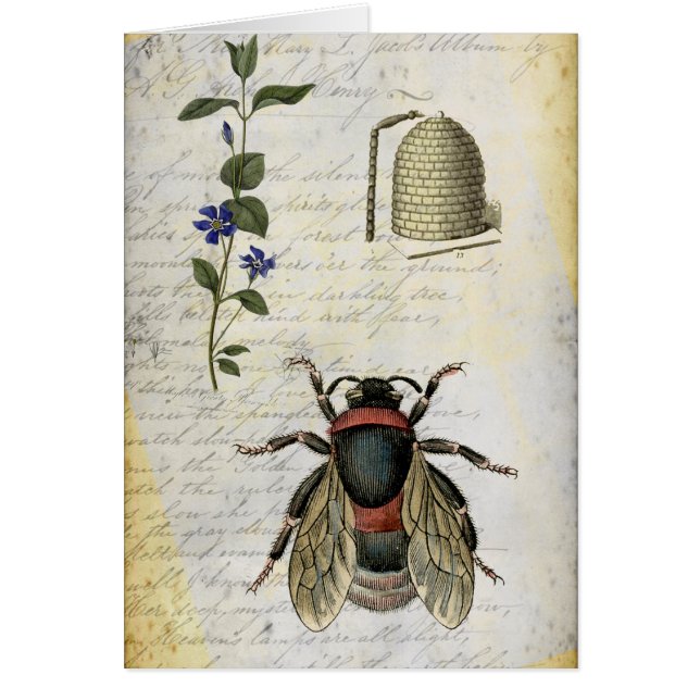 Biblommabikupa Hälsningskort (Framsidan)