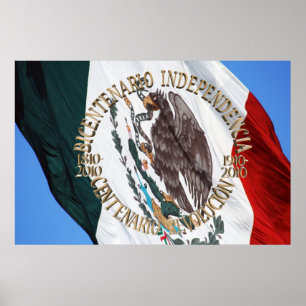 Bicentenario y Centenario Celebracion Poster