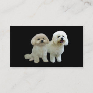 Bichon avelsdjurvisitkort visitkort