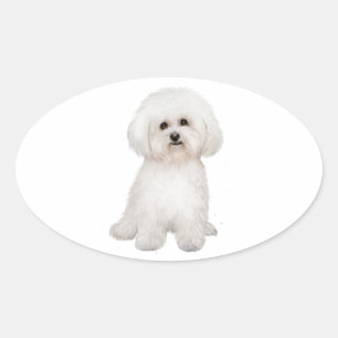 Bichon (B) Ovalt Klistermärke