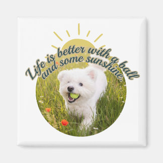 Bichon & Ball Maskrosdagar Magnet